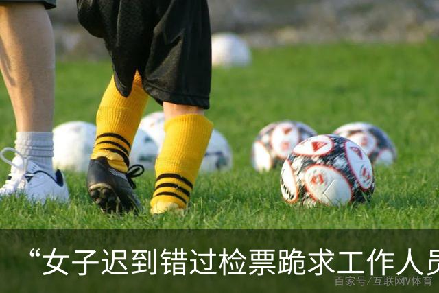 “女子迟到错过检票跪求工作人员”，最新通报：由于该列车已停止检票，按规定未予放行，工作人员进行了解释安抚，引导其改乘后续车次