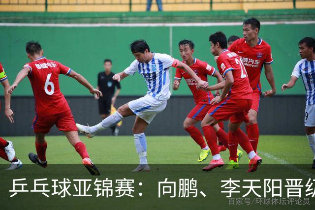 乒乓球亚锦赛：向鹏、李天阳晋级男单64强
