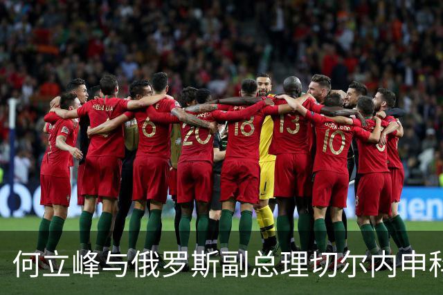 何立峰与俄罗斯副总理切尔内申科共同主持召开中俄总理定期会晤委员会第三十次会议