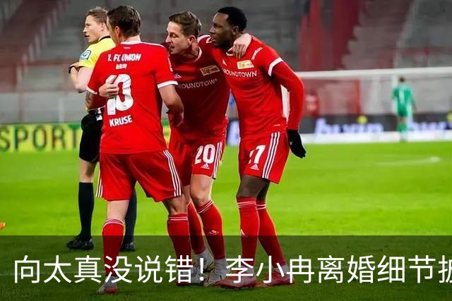 向太真没说错！李小冉离婚细节披露，跟前夫被执行2111万没有关系
