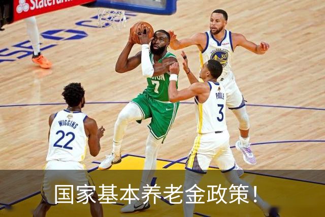 国家基本养老金政策！
