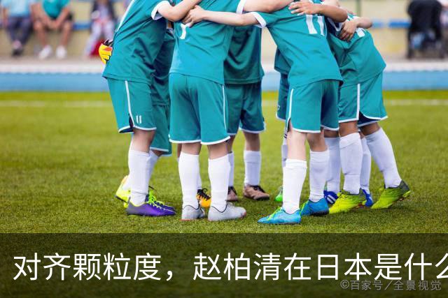 对齐颗粒度，赵柏清在日本是什么水平？