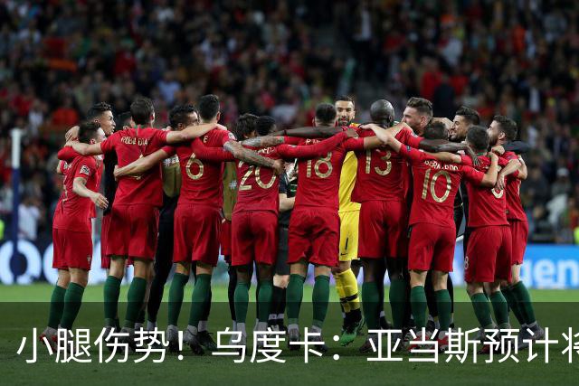 小腿伤势！乌度卡：亚当斯预计将缺席1-2周的时间