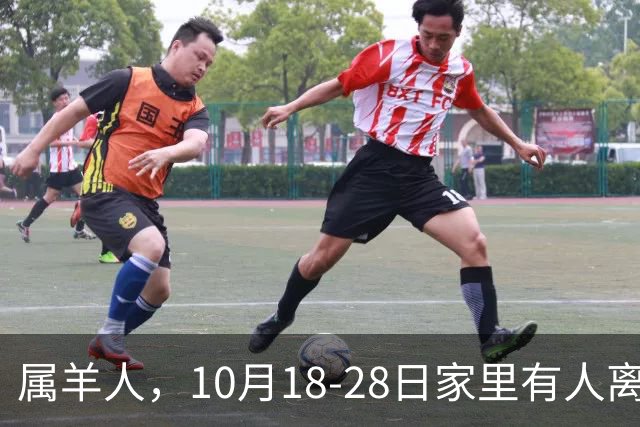 属羊人，10月18-28日家里有人离开，别哭！是老天帮你清除负担