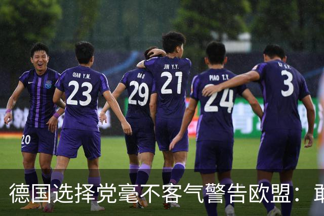 德国选择党毫不客气警告欧盟：敢拒绝我们的提议，后果将十分严重