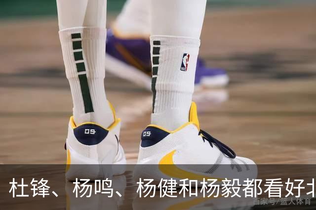 杜锋、杨鸣、杨健和杨毅都看好北京男篮夺冠！上海男篮有一大短板