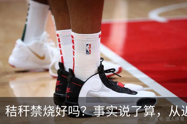 秸秆禁烧好吗？事实说了算，从近年蚯蚓鸟类和蛇类数量就可看出来