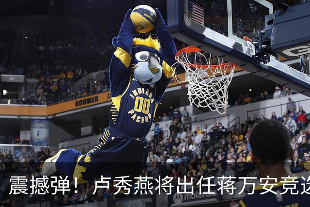 震撼弹！卢秀燕将出任蒋万安竞选总部主委，蓝营祭出姐弟强强联手