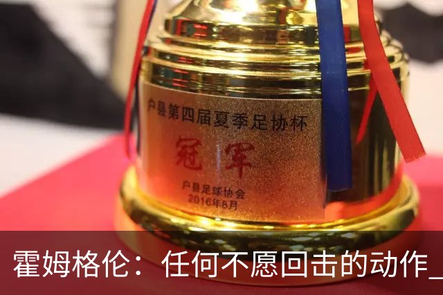 霍姆格伦：任何不愿回击的动作 都会成为对方的优势