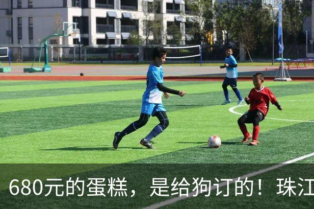 680元的蛋糕，是给狗订的！珠江新城的豪宅、满客厅的狗海报！外卖小哥：原来“宝贝”是条狗